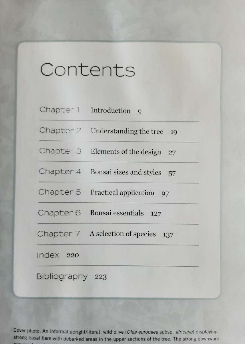 Master Bonsai A Practical and Inspirational Guide by Rudi Adam