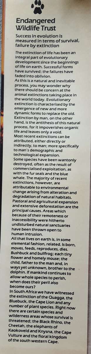 Twilight of the Giants by Clive Walker ***Signed Copy ***