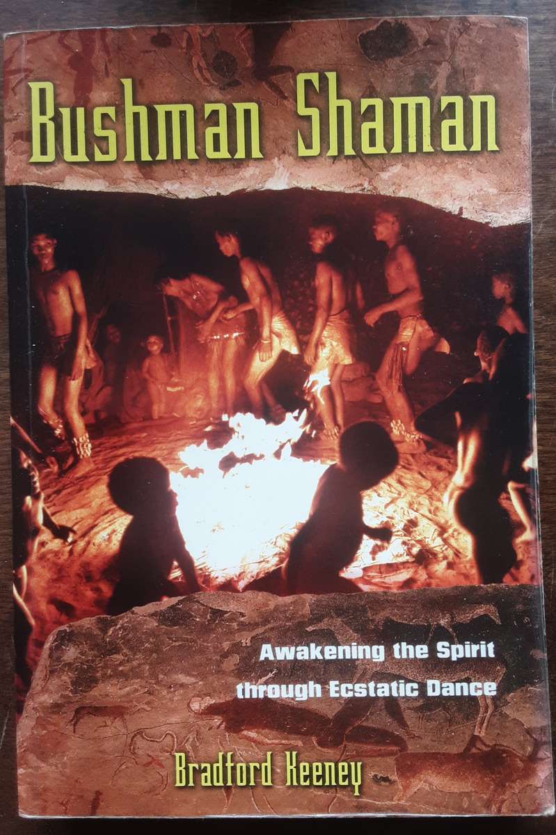 Bushman Shaman, Awakening the Spirit Through Ecstatic Dance by Bradford Heeney