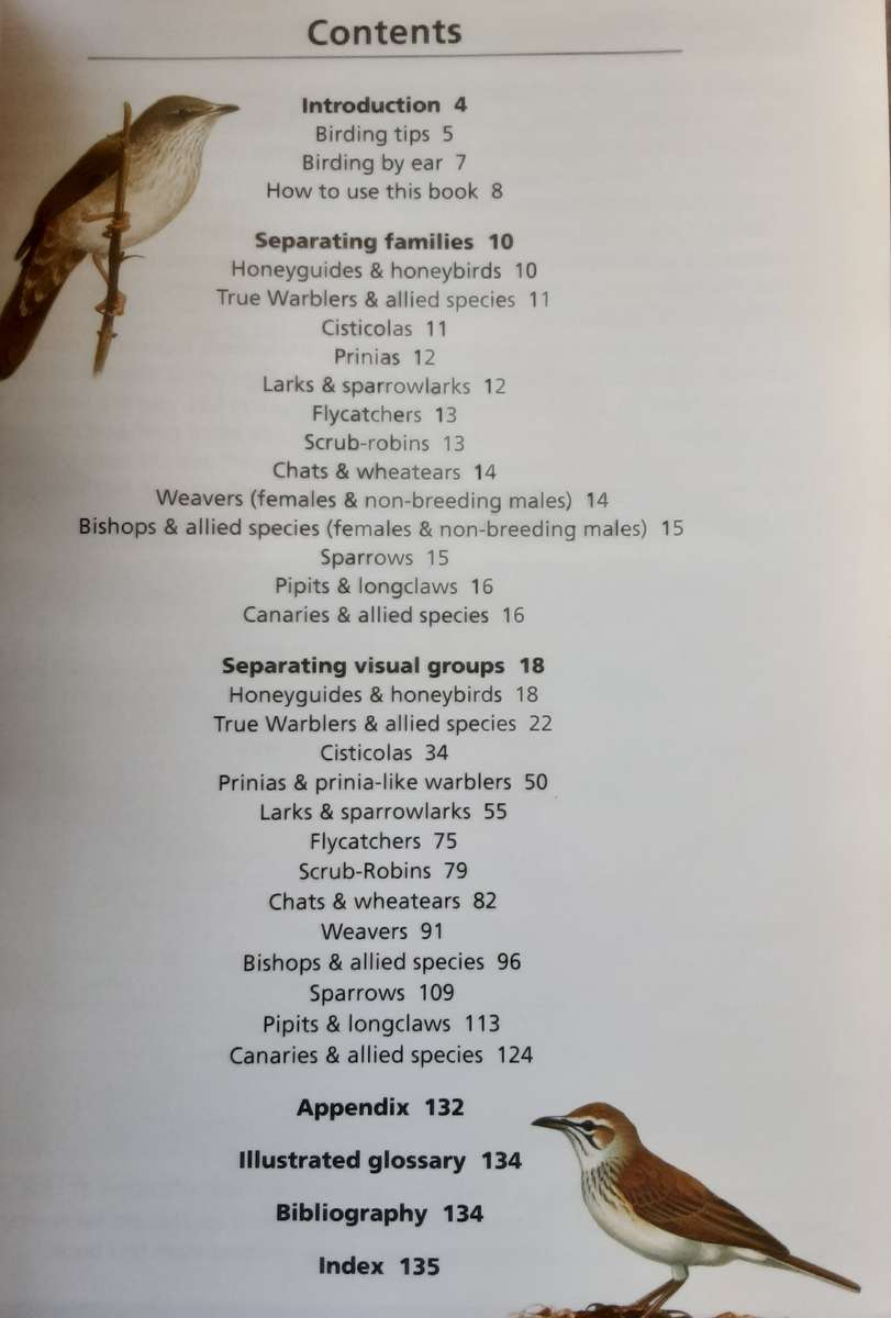 Southern African LBJs Made Simple by Doug Newman and Gordon King **CD bird calls**