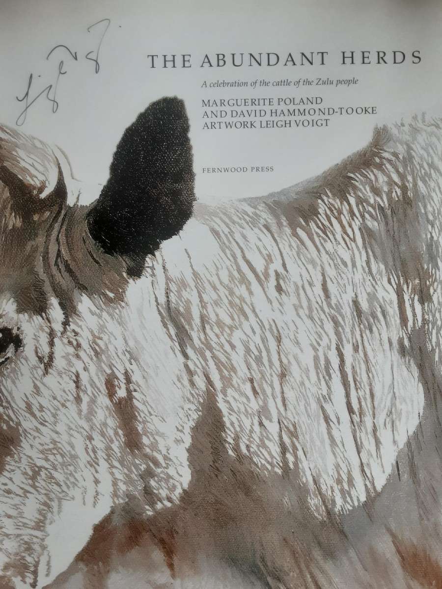 The Abundant Herds, A Celebration of The Nguni Cattle of the Zulu  by Marguerite Poland **Signed**