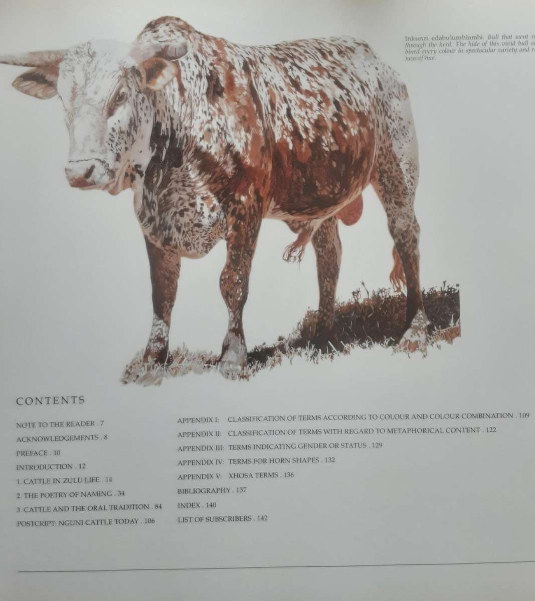 The Abundant Herds, A Celebration of The Nguni Cattle of the Zulu  by Marguerite Poland **Signed**