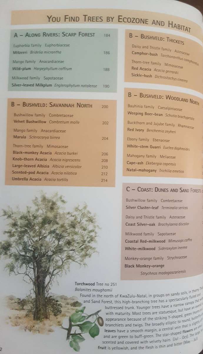 Sappi Tree Spotting KwaZulu-Natal and Eastern Cape By Val Thomas & Rina Grant