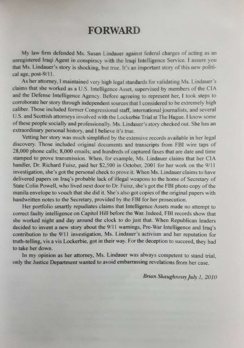 Extreme Prejudice The Terrifying Story of the Patriot Act & the Cover Ups of 9/11 & Iraq by S Lindau