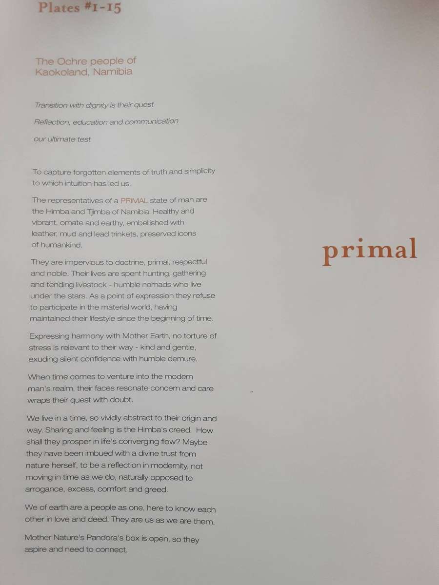 Transitions Southern Africa by Gordon Clark ***Signed Copy ***