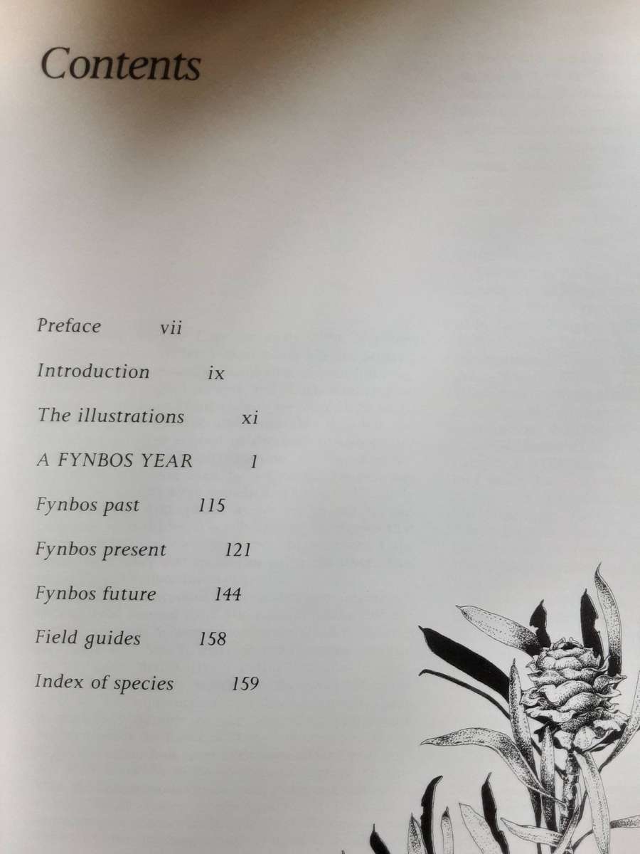 A Fynbos Year illustrated by Liz McMahon with text by Michael Fraser