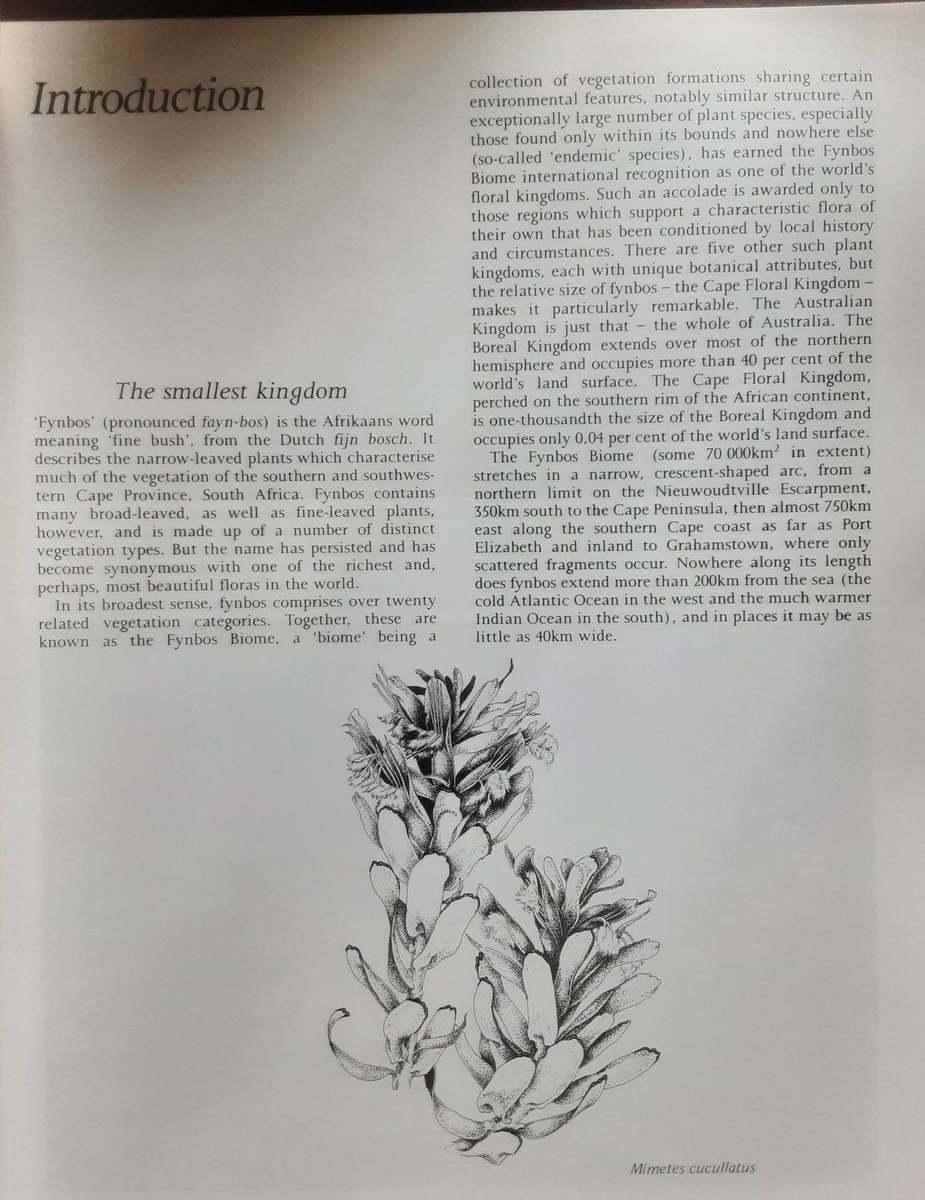 A Fynbos Year illustrated by Liz McMahon with text by Michael Fraser