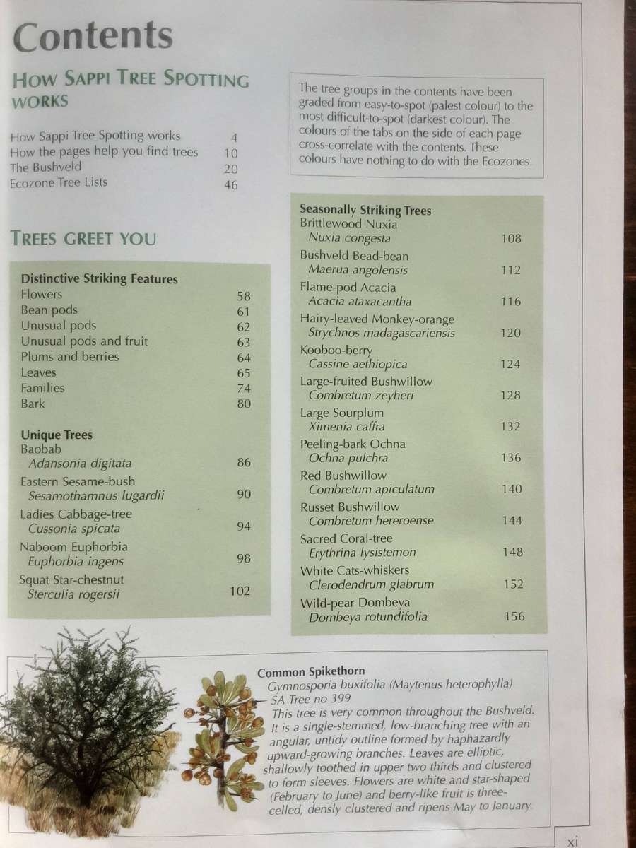 Sappi Tree Spotting Bushveld Including Pilanesberg & Magaliesberg by Rina Grant and Val Thomas