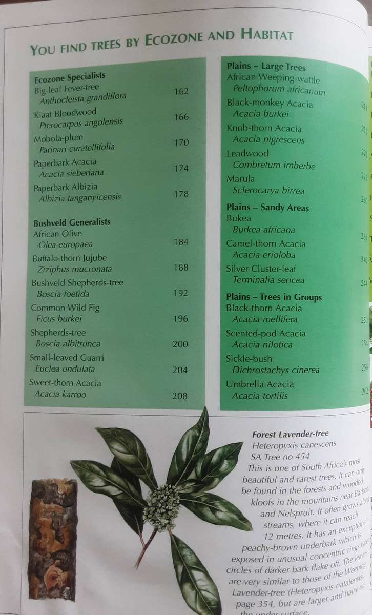 Sappi Tree Spotting Bushveld Including Pilanesberg & Magaliesberg by Rina Grant and Val Thomas