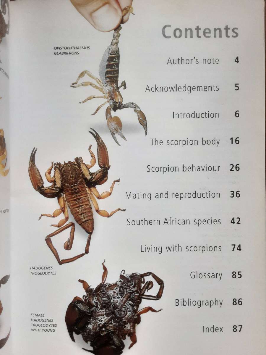 Scorpions of Southern Africa by Jonathan Leeming