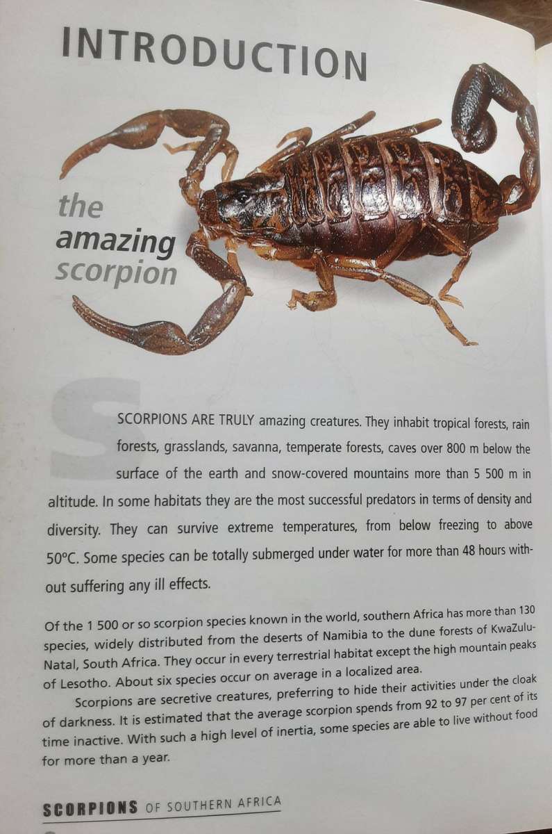 Scorpions of Southern Africa by Jonathan Leeming