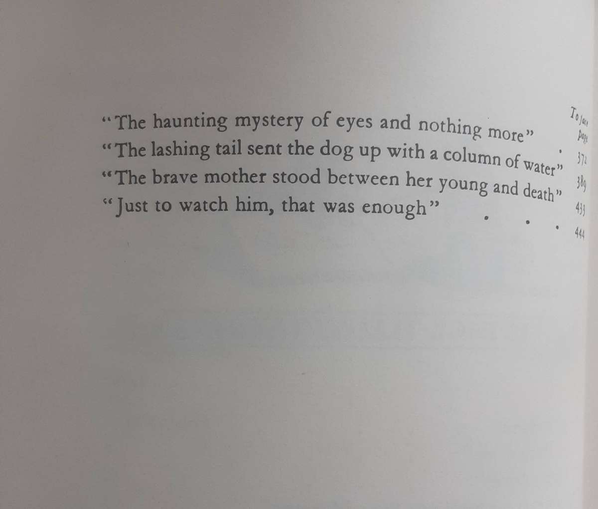 Jock of the Bushveld by Sir Percy Fitzpatrick