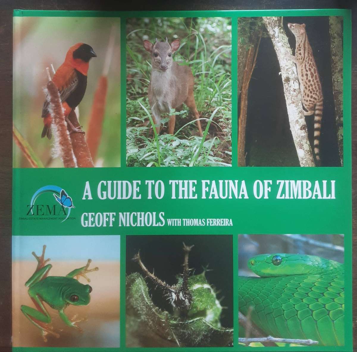 A Guide to the Fauna of Zimbali by Geoff Nichols with Thomas Ferreira ***Signed Copy ***