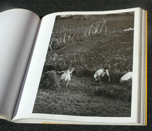 Some Afrikaners Revisited -- David Goldblatt