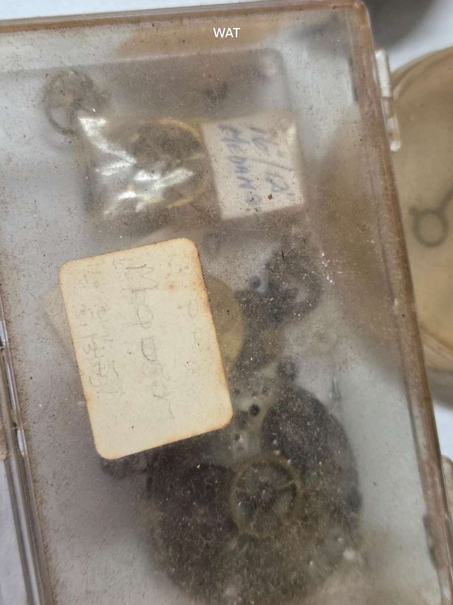 MST Roamer Pocket Watch and Pocket Watch Parts