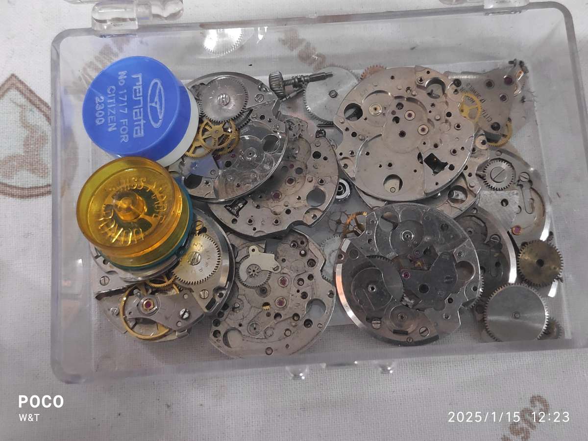 Citizen Lot of parts cases project watches