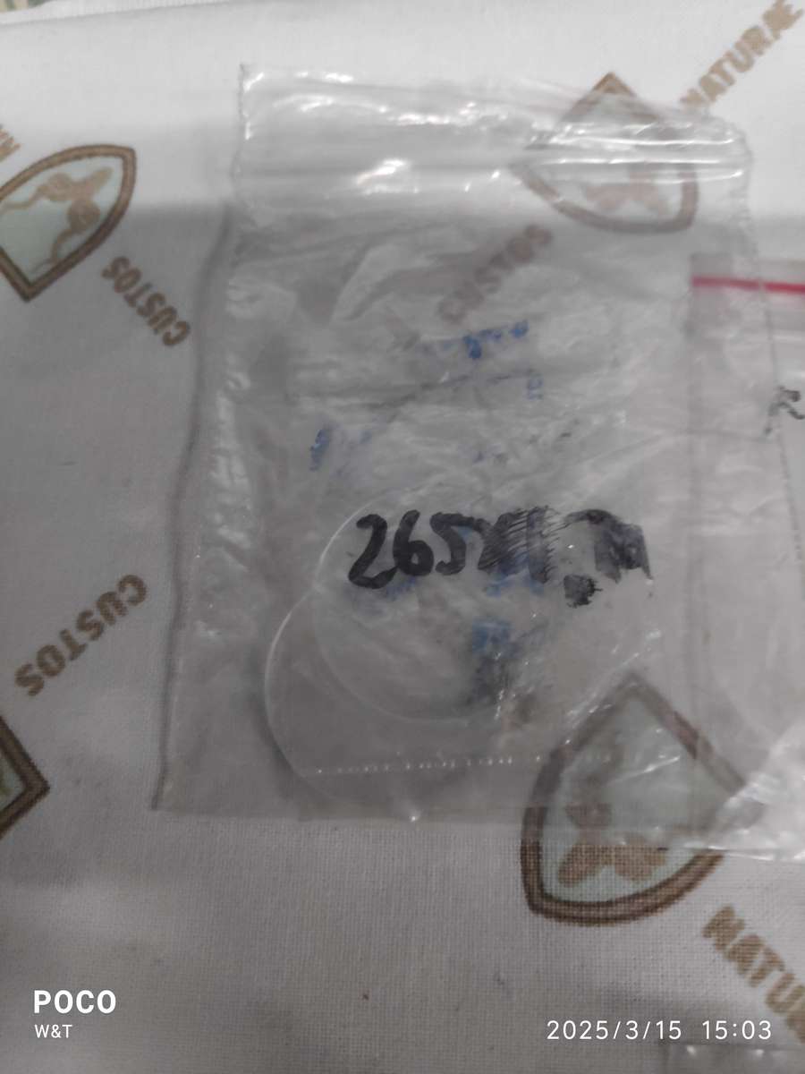 New Mixed Mineral Watch Glass