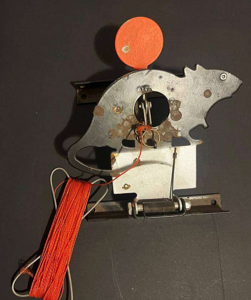 Gamo Delt Fox Pellet Gun Bundle