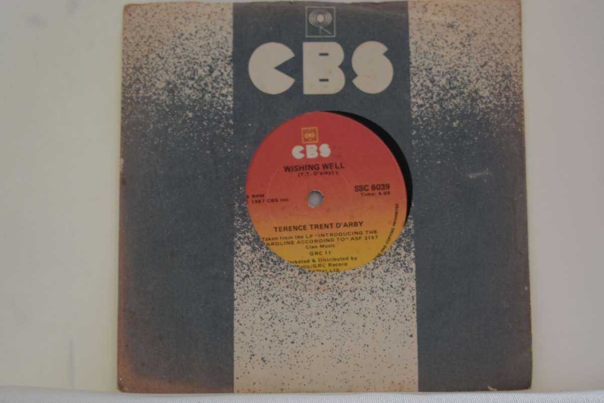 TERENCE TRENT D'ARBY - WISHING WELL - VG/EX-