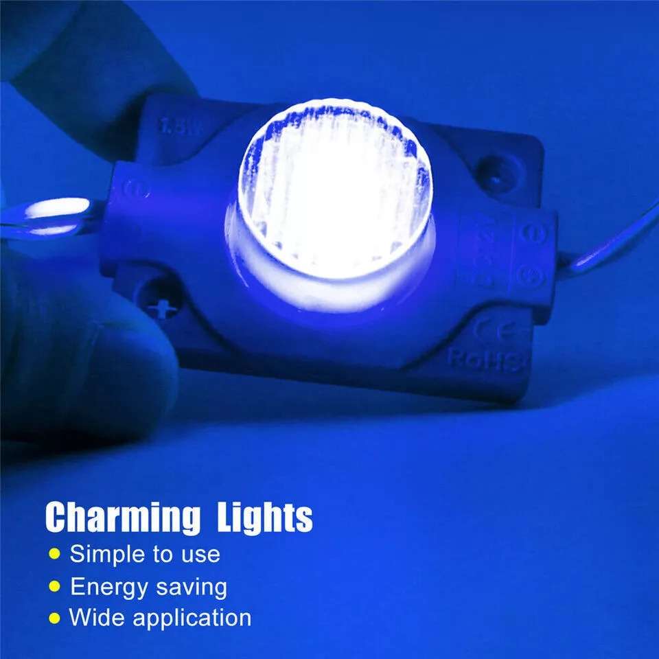 Blue Light Colour LED Light Waterproof Injection Moulded Modules with Dome Lens. Collections Allowed