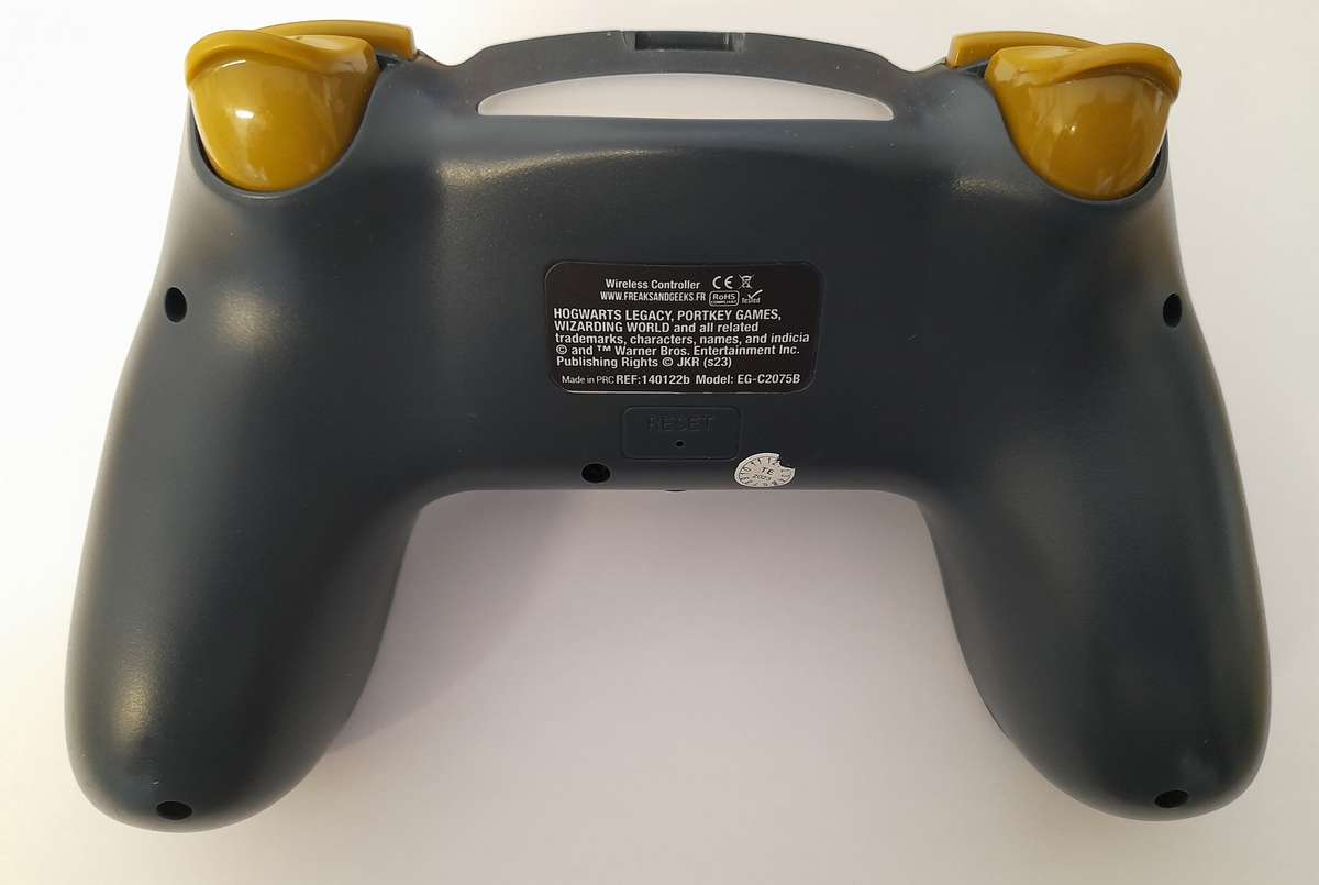 PS4 Controller Hogwarts Legacy Landscape
