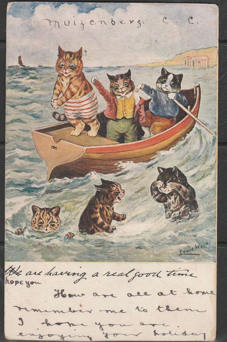 A COLOUR POST CARD SHOWING CATS IN THE SEA AND ROW BOAT F.U. LOOK SCANS X 2