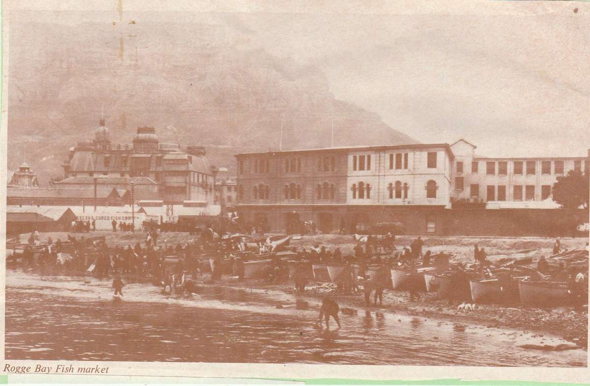 A REPLICA  COPY OF POST CARD OF CAPE TOWN ROGGE BAY FISH MARKET LOOK SCAN