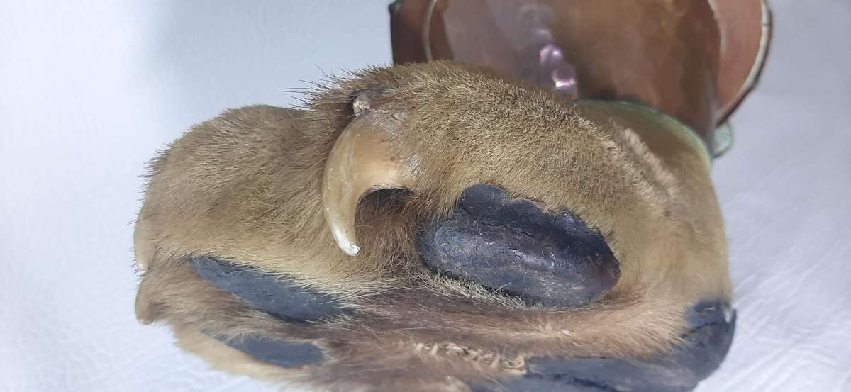 ANTIQUE LION'S CLAW & COPPER ASHTRAY - LATE 19TH CENTURY ELEGANCE