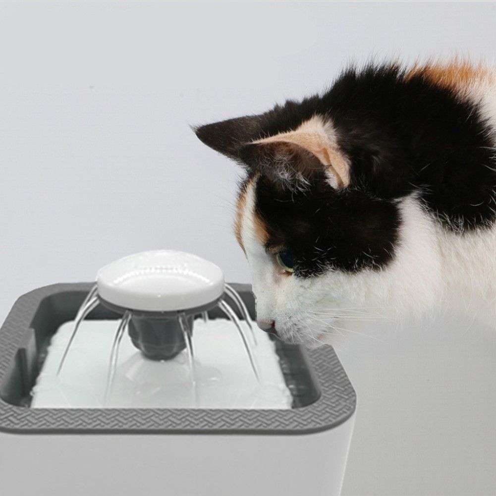 2.5L PET WATER FOUNTAIN