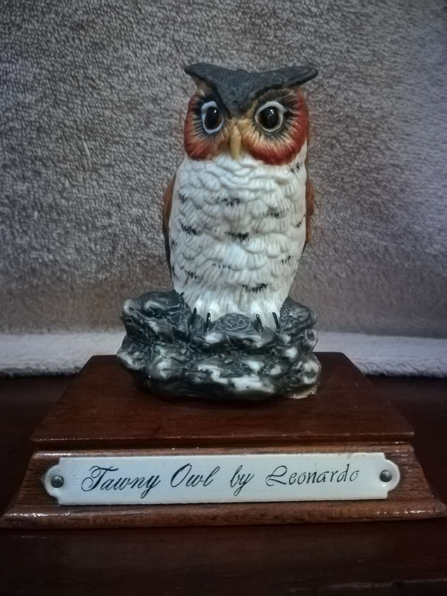 Tawny Owl by Leonardo , beautiful ornament.