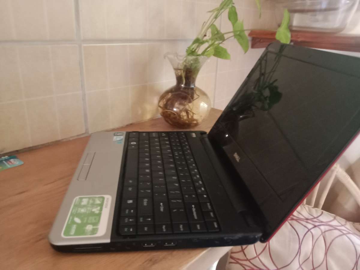 Dell Inspiron 1110 mini laptop