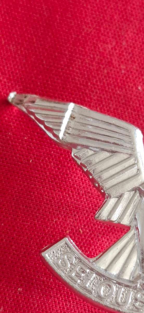 RHODESIA - SELOUS SCOUTS ANODISED BERET BADGE - MADE REUTELER - WING DAMAGED    (8911)