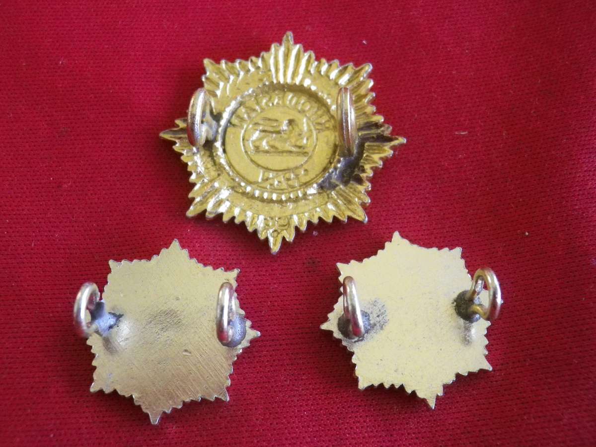 RHODESIAN ARMY SERVICES CORPS - ANODISED BERET + FACING PAIR COLLAR BADGES         (8719)