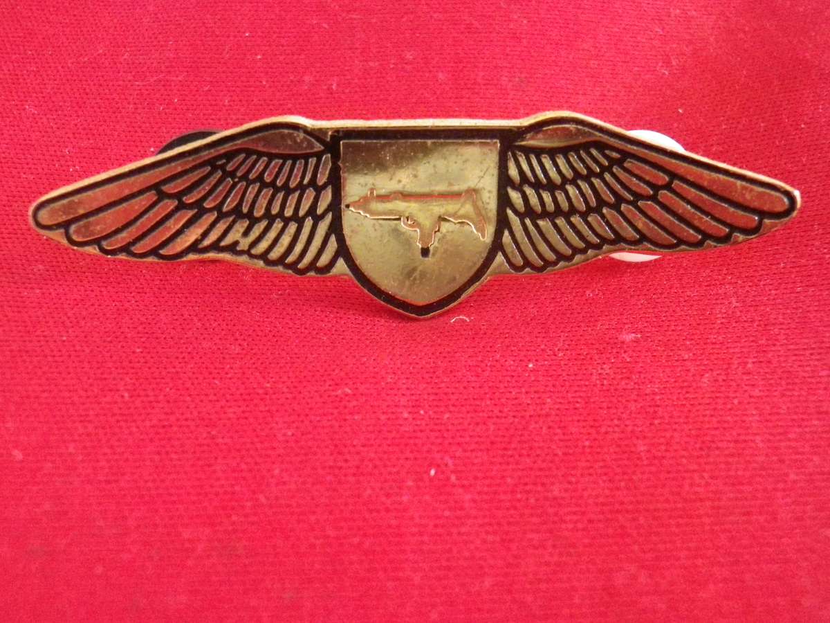 SA RAILWAY POLICE TASK FORCE WINGS    (8874)