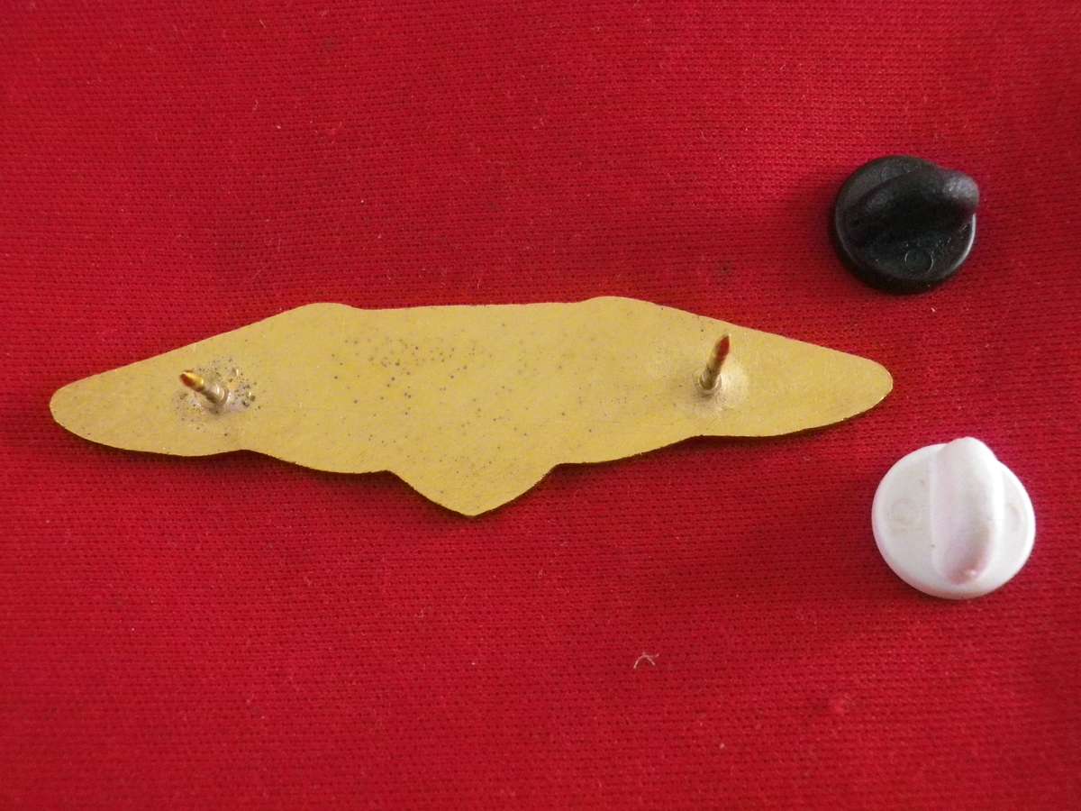 SA RAILWAY POLICE TASK FORCE WINGS    (8874)