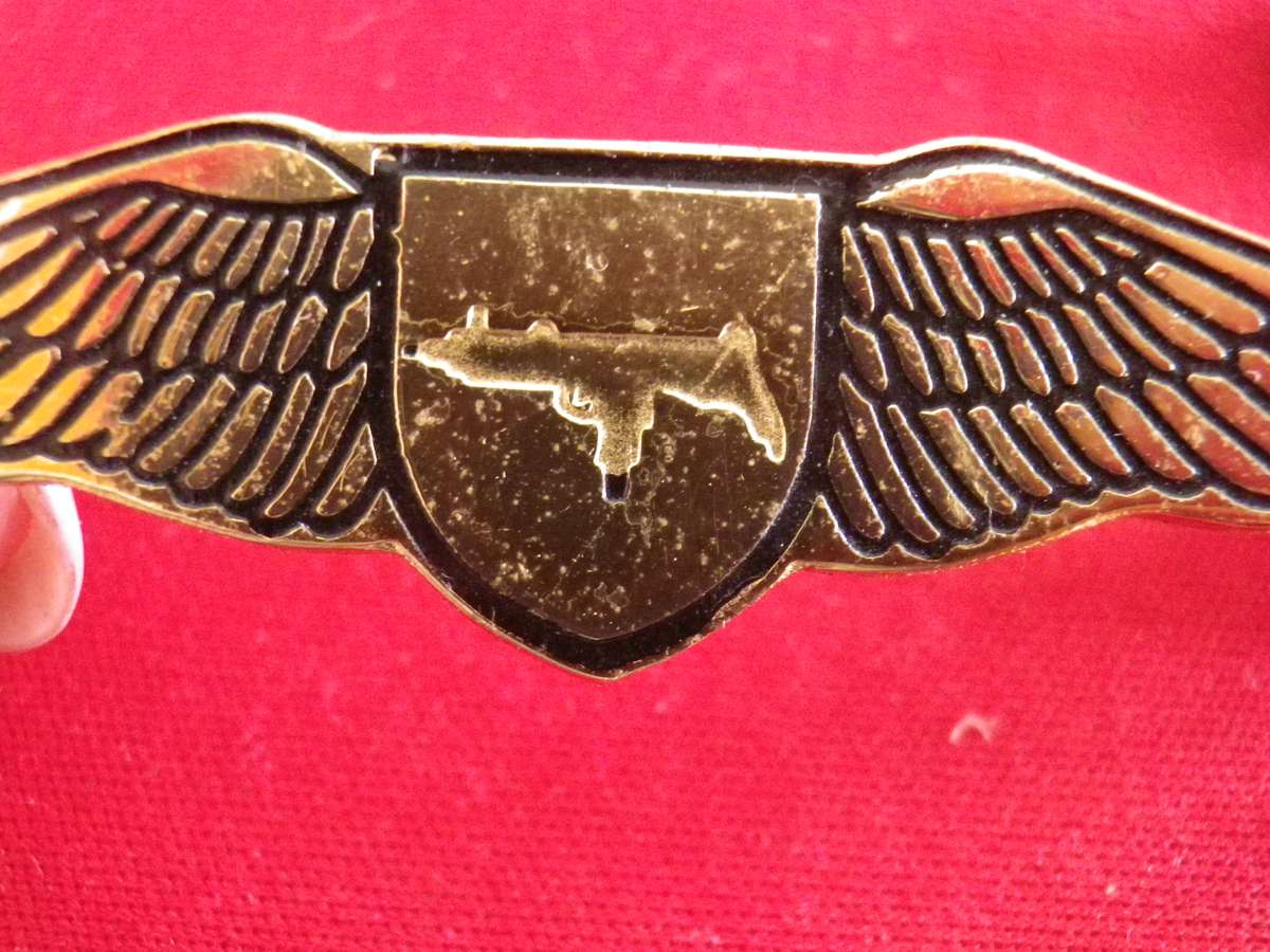 SA RAILWAY POLICE TASK FORCE WINGS    (8874)