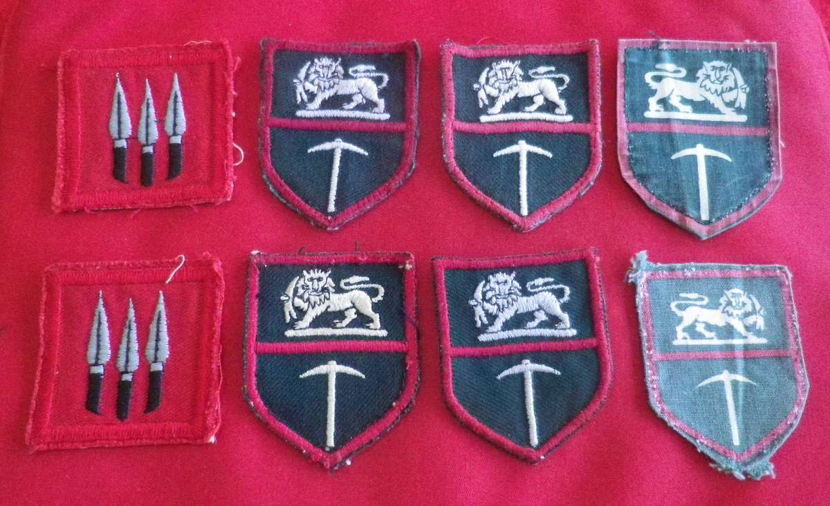 RHODESIAN ARMY - 8 x BRIGADE PATCHES      (5061)