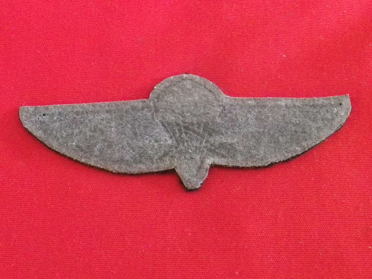 SADF - HUNTER GROUP PARA WING   - AUTHENTICITY UNKNOWN / COPY ?   (8886)