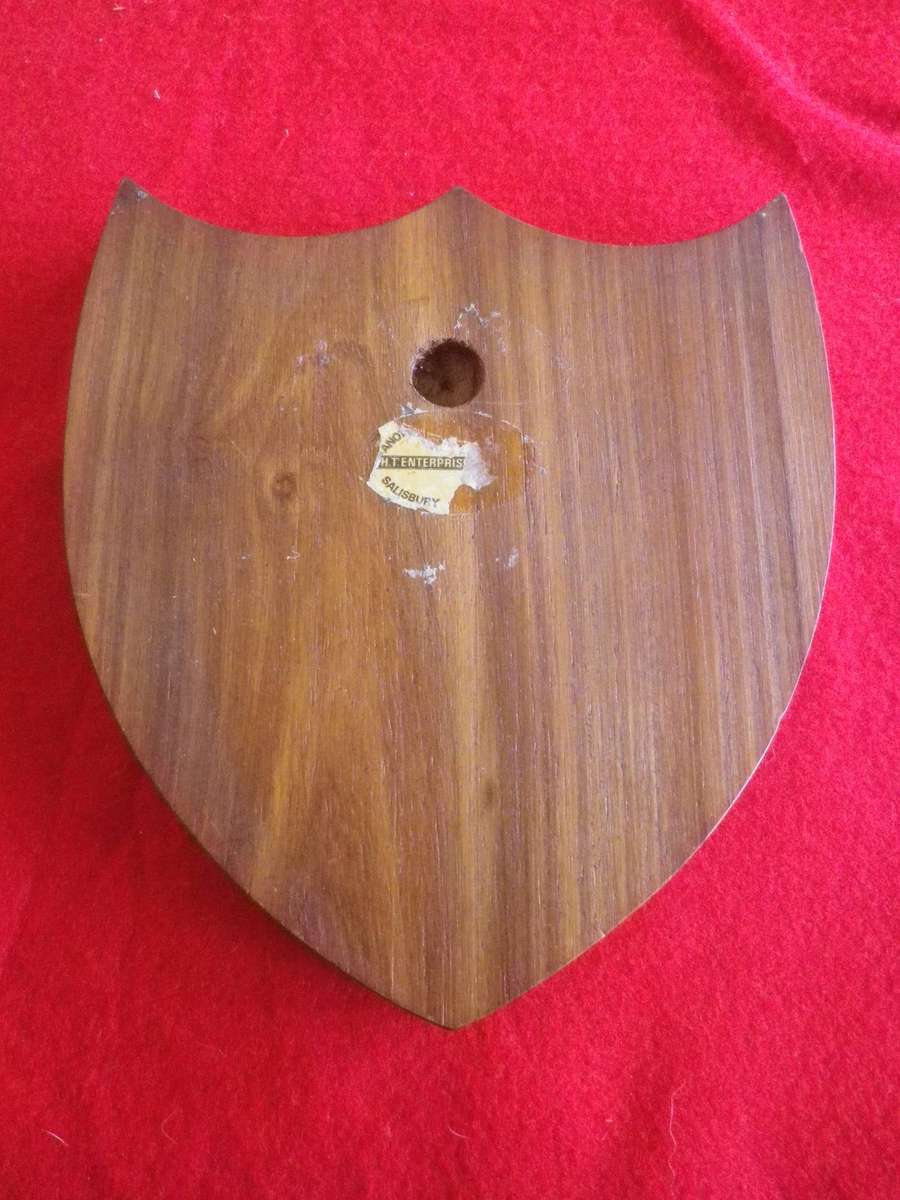 RHODESIA ARMY - OPERATION SALOPS PLAQUE               (420)