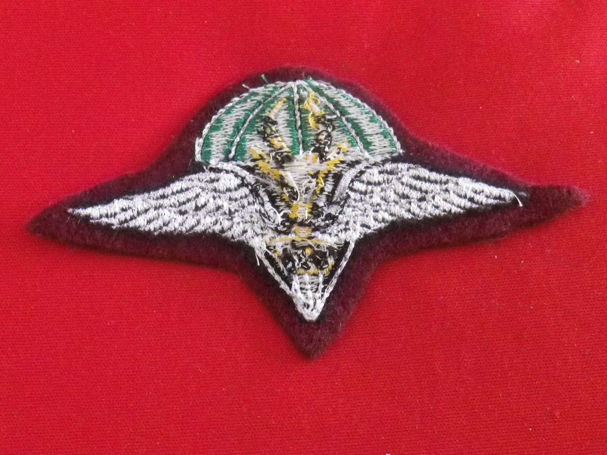 SADF - 1 PARA BATTALION BERET BADGE                (8884)