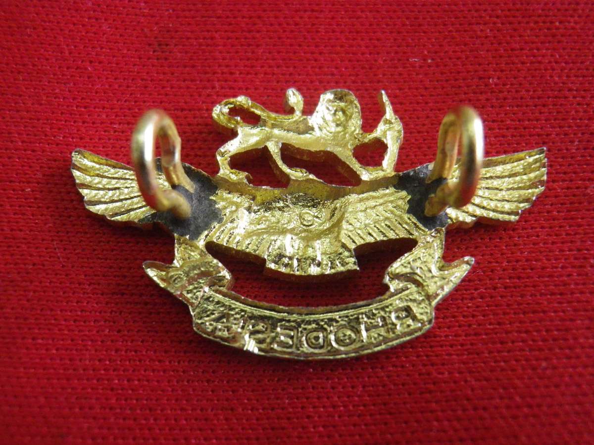 RHODESIAN AIR FORCE - WOMENS OFFICERS ANODISED CAP BADGE  - WIDTH 31mm         (290)