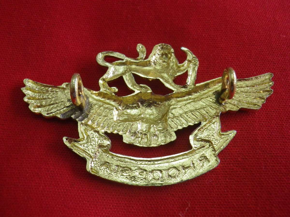 RHODESIAN AIR FORCE - AIRMANS ANODISED CAP BADGE     (293)