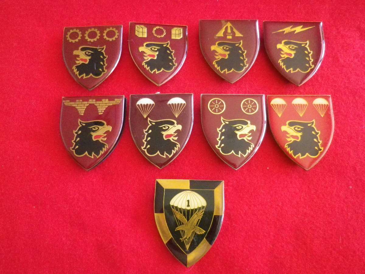 SADF - 8 X 44 PARA BRIGADE FLASHES + 1 PARA FLASH - SECTIONS BELOW   - 1 PIN MISSING   (8873)