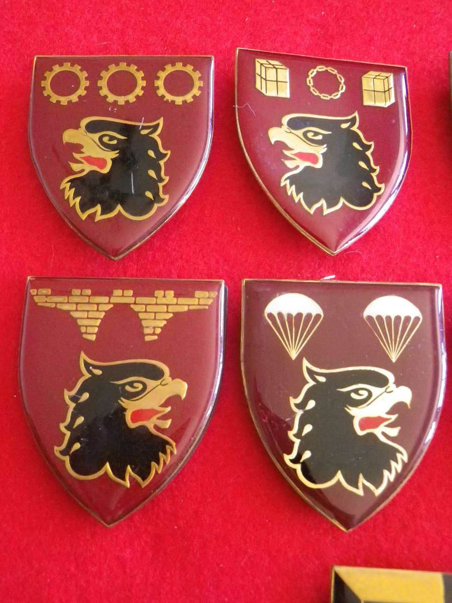 SADF - 8 X 44 PARA BRIGADE FLASHES + 1 PARA FLASH - SECTIONS BELOW   - 1 PIN MISSING   (8873)