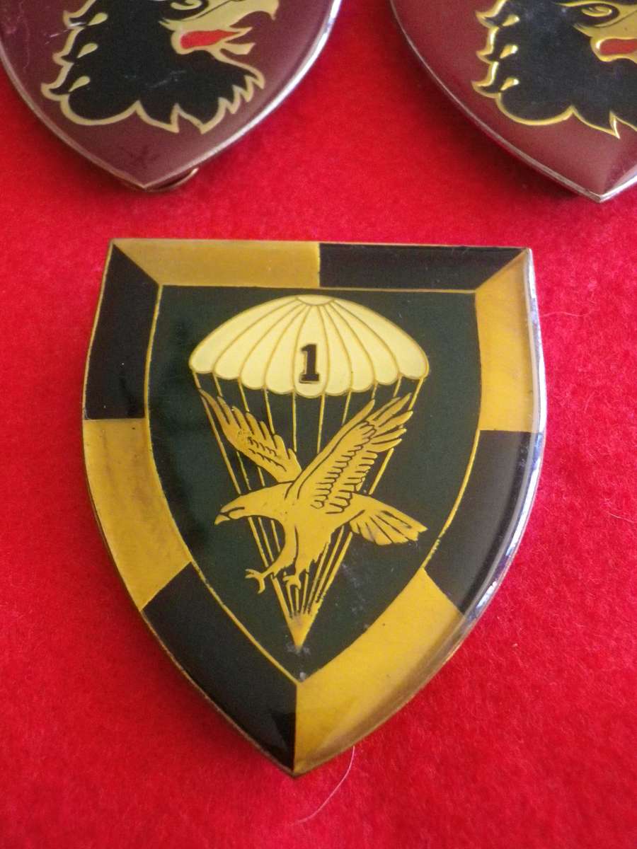 SADF - 8 X 44 PARA BRIGADE FLASHES + 1 PARA FLASH - SECTIONS BELOW   - 1 PIN MISSING   (8873)