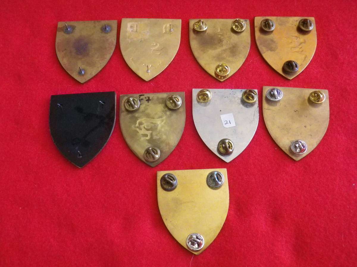 SADF - 8 X 44 PARA BRIGADE FLASHES + 1 PARA FLASH - SECTIONS BELOW   - 1 PIN MISSING   (8873)