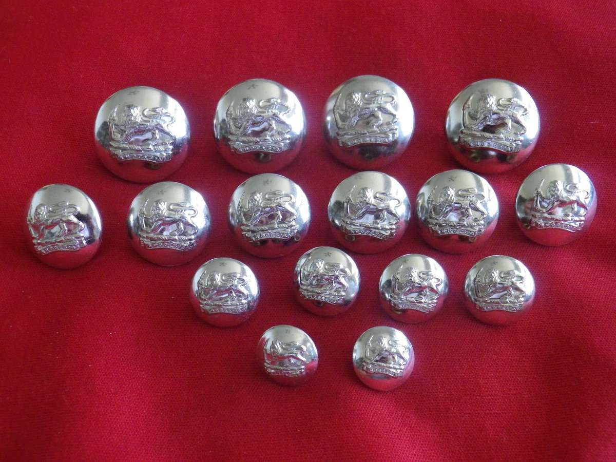 RHODESIAN ARMY - COMPLETE SET 16 X SILVER ANODISED BUTTONS WORN SAS, RLI, RhACR, SELOUS SCOUTS(5025)