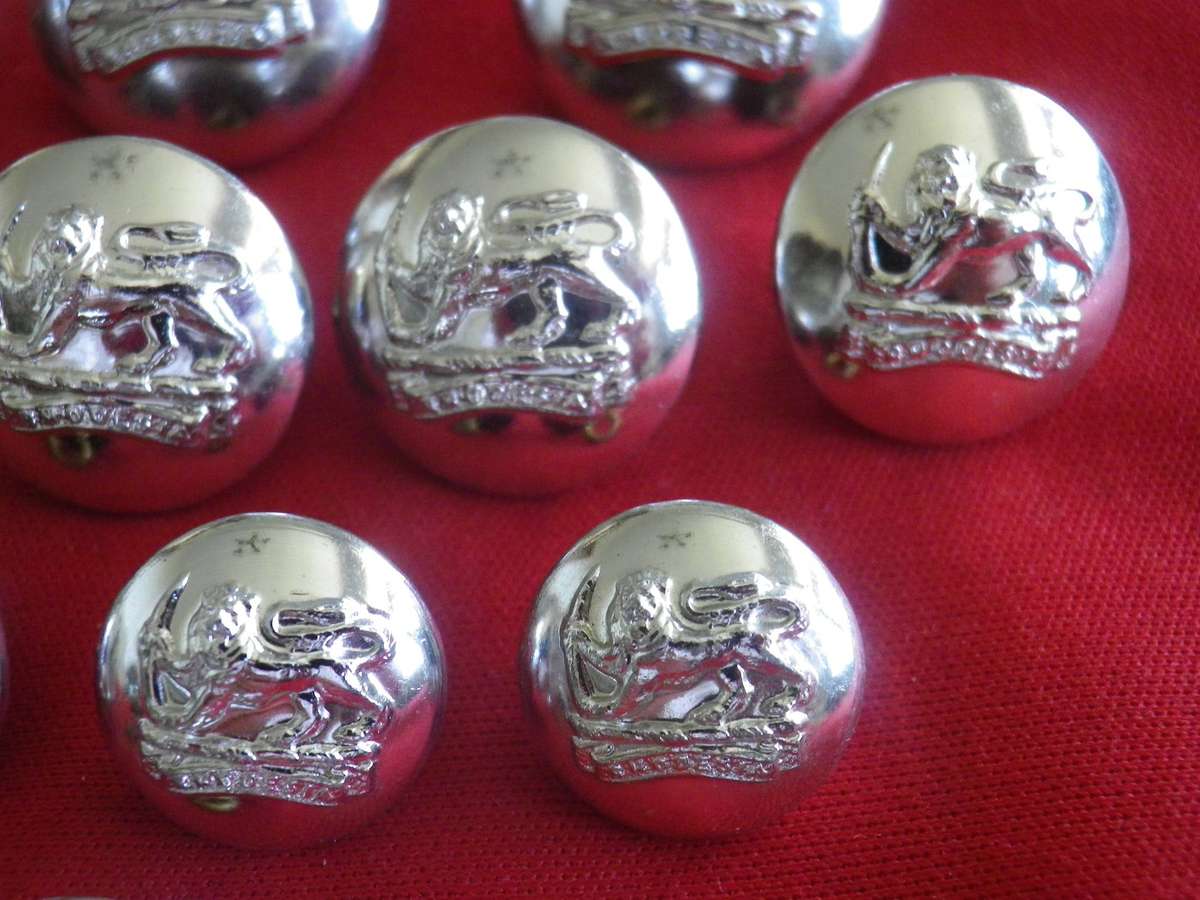 RHODESIAN ARMY - COMPLETE SET 16 X SILVER ANODISED BUTTONS WORN SAS, RLI, RhACR, SELOUS SCOUTS(5025)