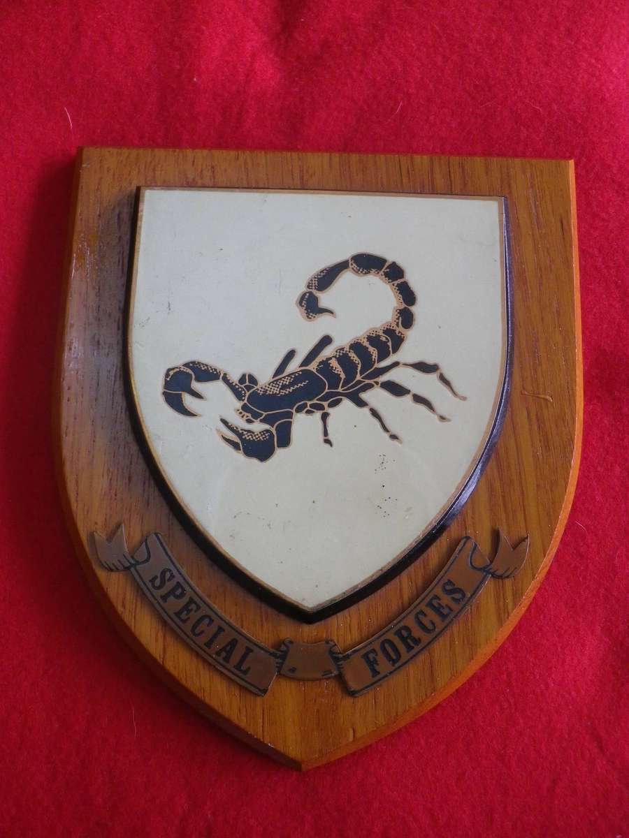 RHODESIAN ARMY - SPECIAL FORCES PLAQUE - UNCOMMON    (309)