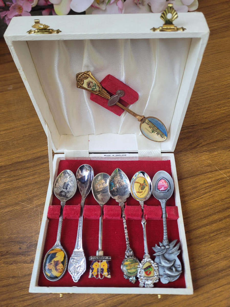 Various Souvenir  Decorative Spoons In A Velvet-Line Box (As Pictured)